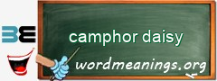 WordMeaning blackboard for camphor daisy